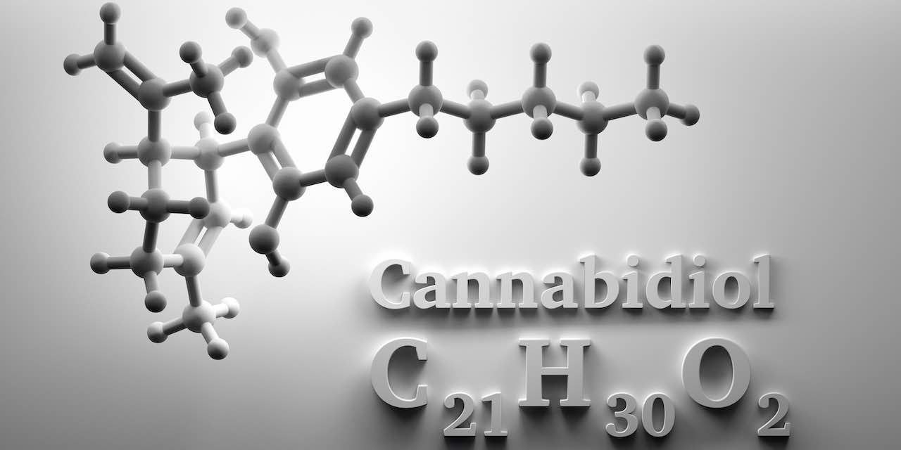 https://www.thecannaconsultants.co.uk/wp-content/uploads/2019/09/services-img-2-1280x640.jpg